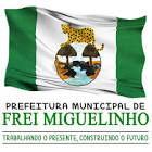 Foto da Cidade de Frei Miguelinho - PE